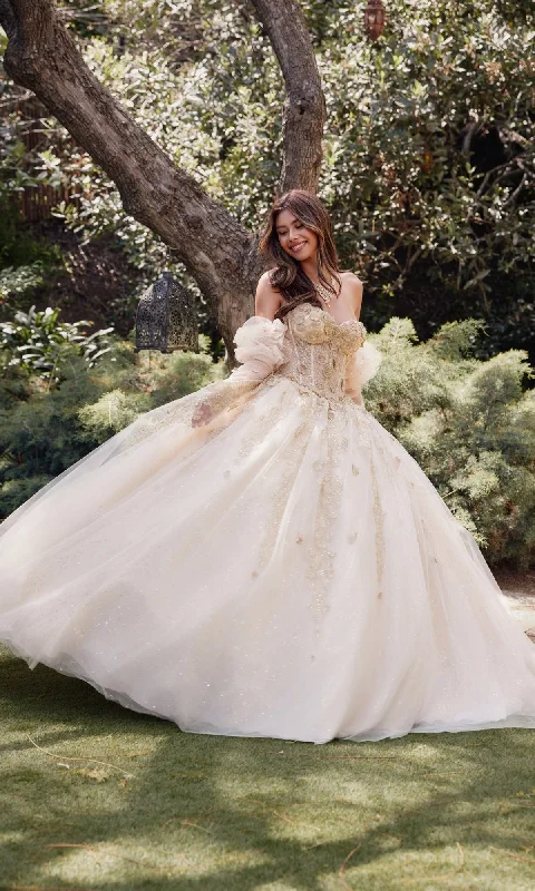 Trendy Boutique Online Strapless Quinceanera Dress: Juliet JT1465H